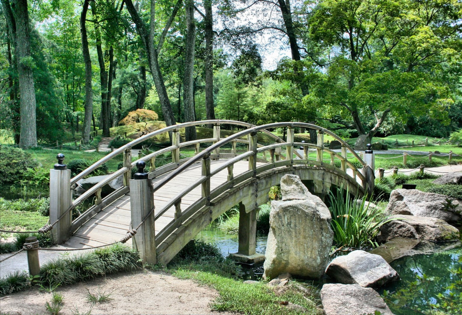 Garden design and build